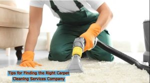 Carpet Cleaning Services Company