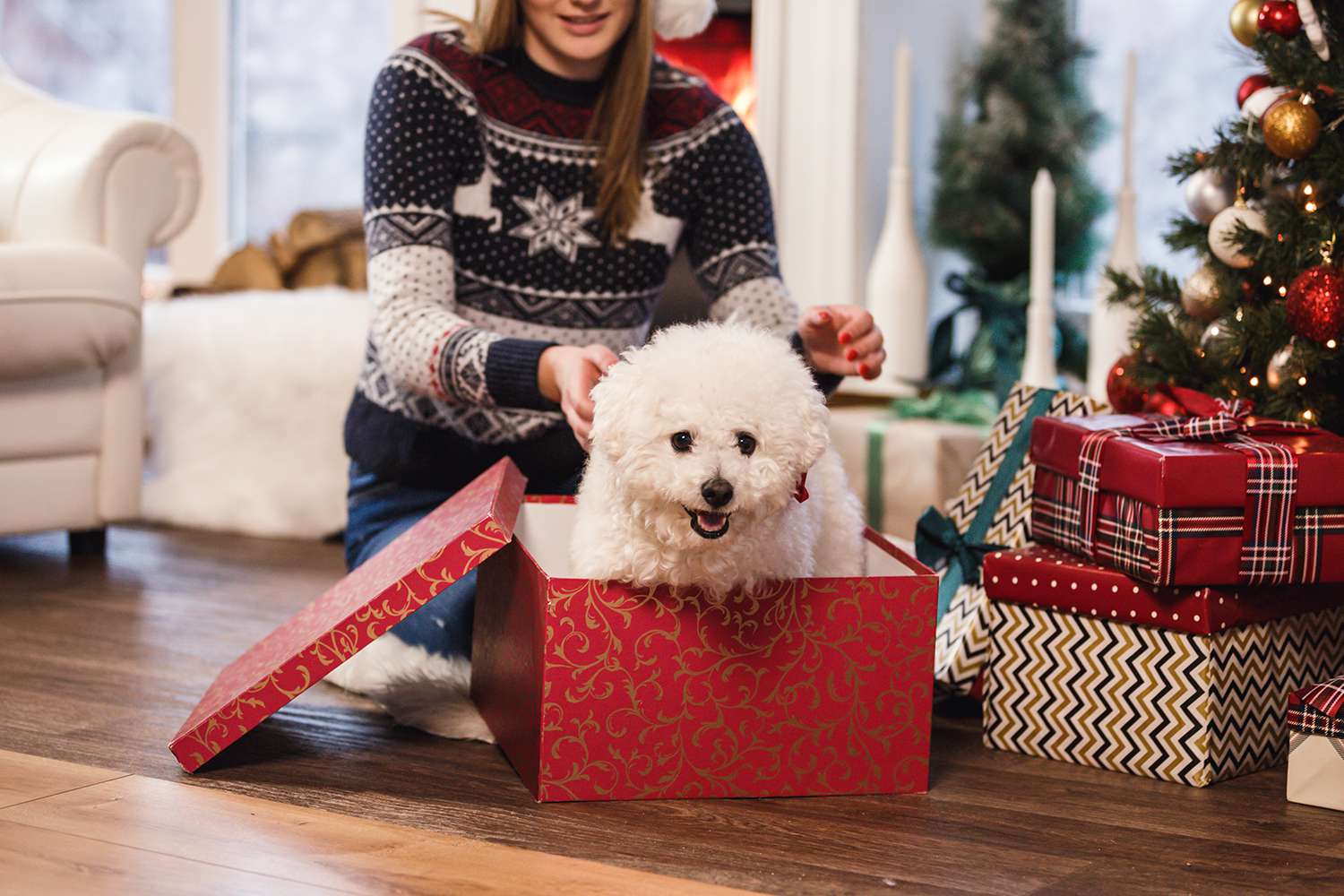 Gift Ideas for Dog Lovers Wagging Wonders
