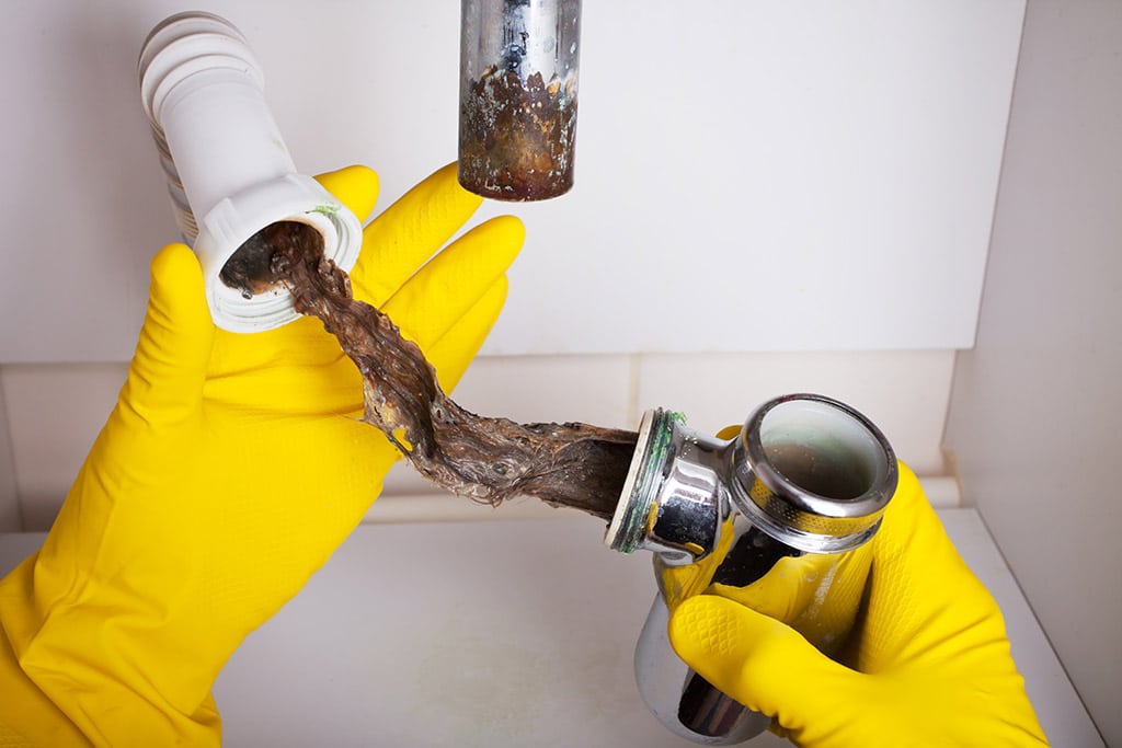 DIY Drain Maintenance