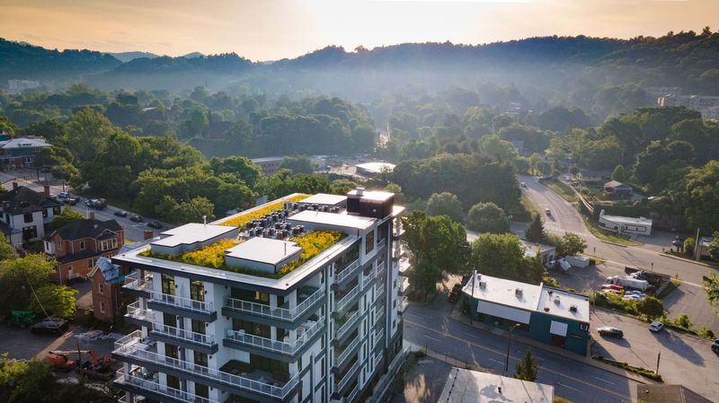 Green Roofs and Bright Futures