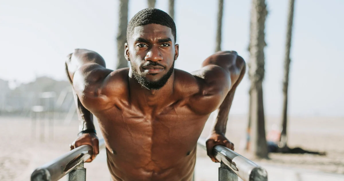 Workout Full Body Program