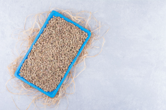 Screenshot Capture - 2025-08-31 - 10-40-55